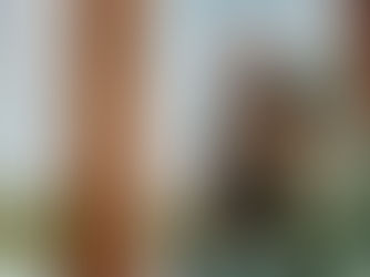 Animale lança linha inédita de athleisure