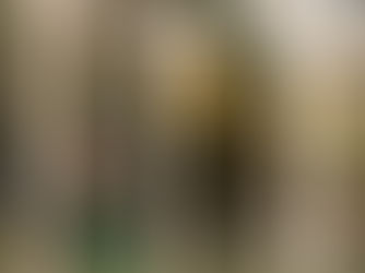 Annah Dress: Elegance that Enchants