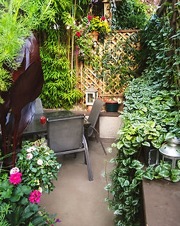 GARDEN.jpg