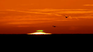 Sunset Report 2/2/22 (Don't see that often)