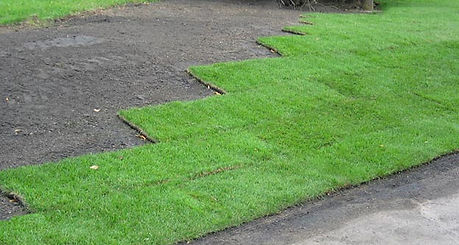 image019.jpg