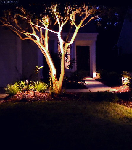 Landscape illumination_in Suncity Bluffton SC