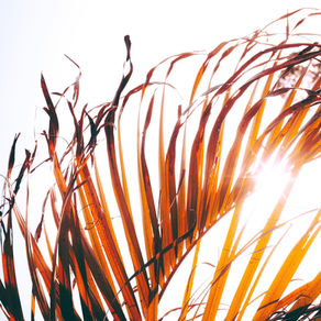 Security In A Shaken World