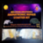 Thumbnail: Brass Animatronic Repair Starter Kit