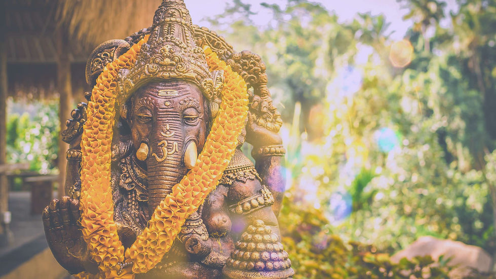 Ecstatic Pilgrimage to India  March ‘26.jpeg