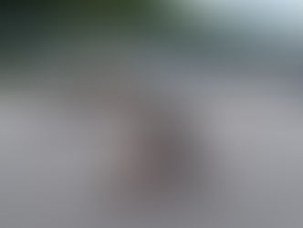 Cool! He did it in 1 lesson!!