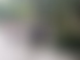 Awesome! All 5 kids can ride the bike very well!!