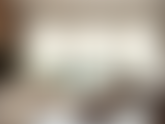 Miller Window Covering: Your Local Window Treatment Experts in Danville