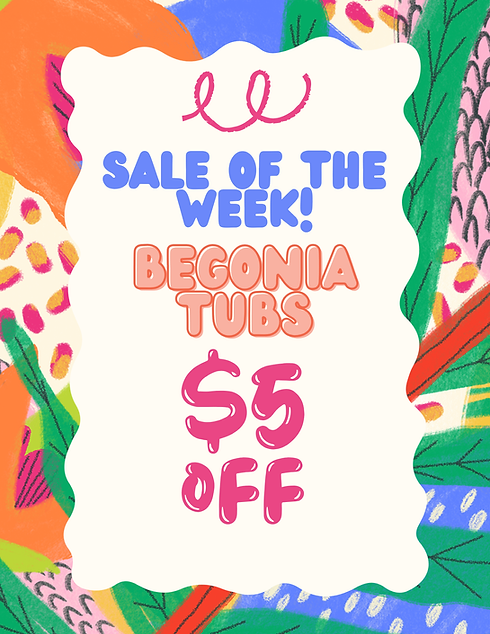 Sale of the Week.png