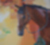 Buddy horse.jpg
