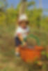 WhatsApp Image 2020-11-28 at 18.11.54 (1