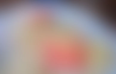 Lobster 🦞 right choice