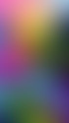 Artist:innen in Residenz im CTC: in_tensegrity