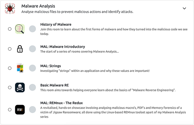 6.MalwareAnalysis