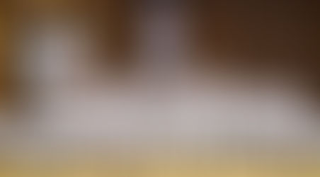 Taekwon-Do Seminar in Wien – Ein Tag voller Energie, Präzision und Inspiration