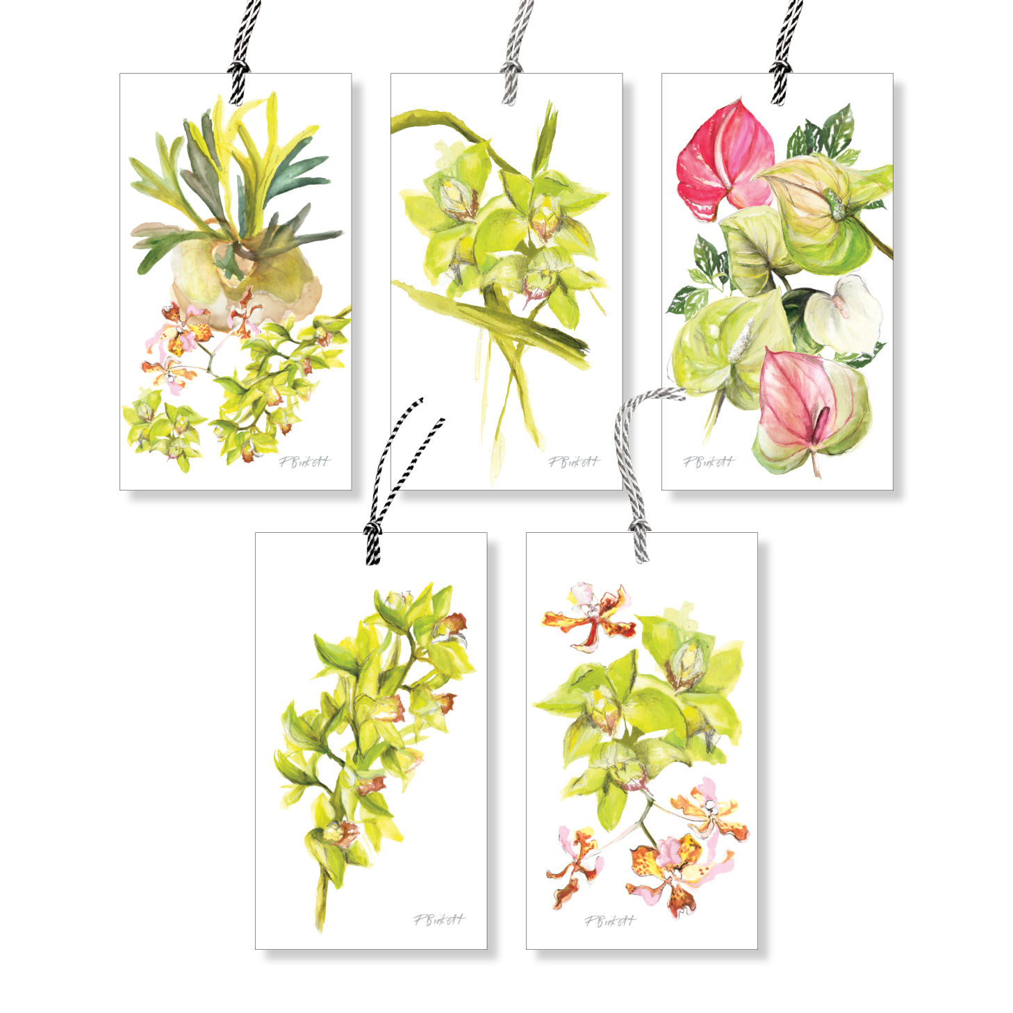 Orchid Oasis Multi Pack Gift Tags