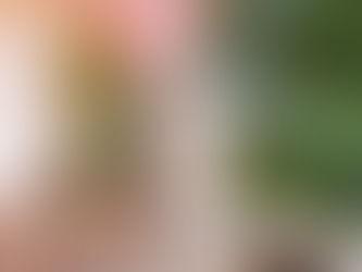 The 5 big expenses when buying a home