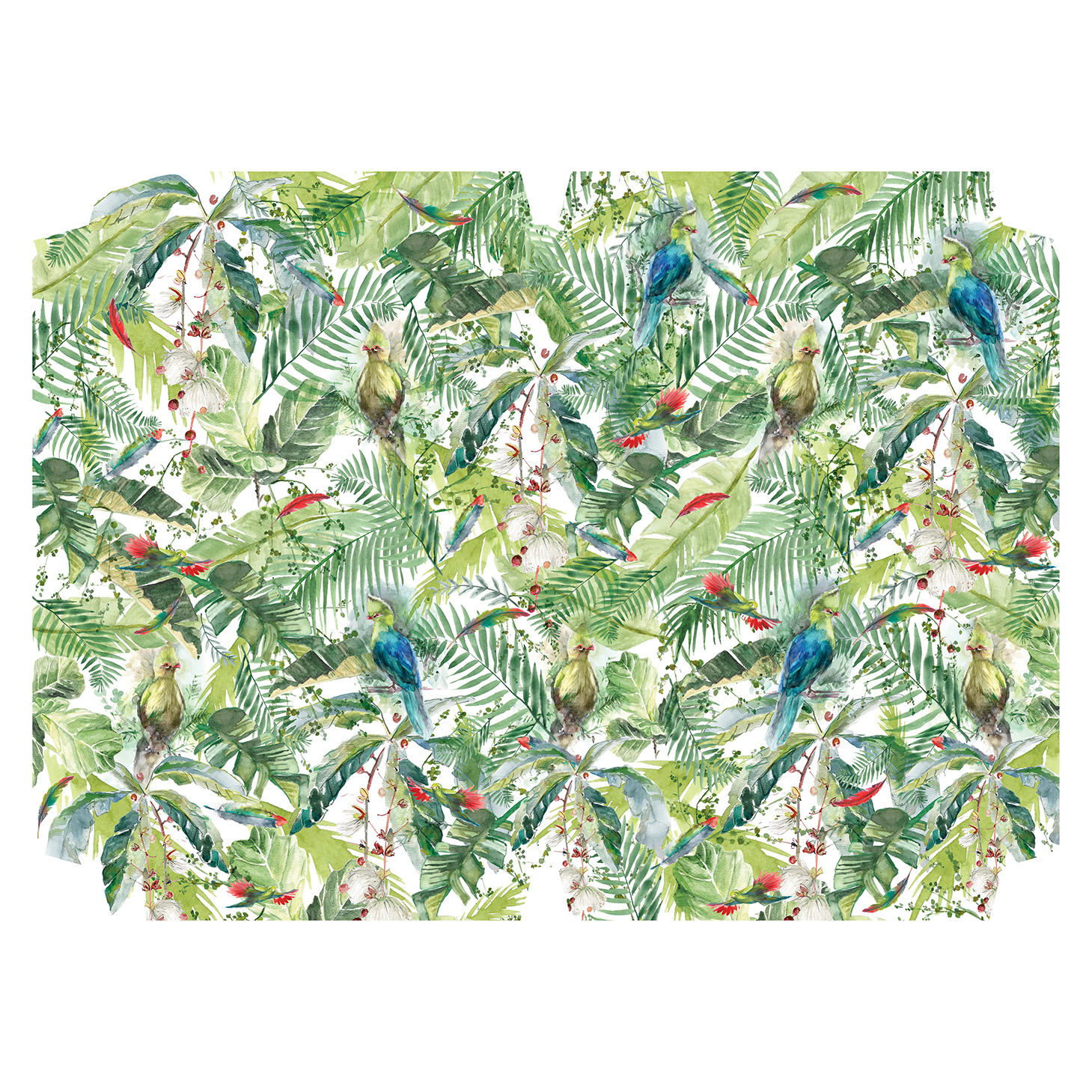 Forest Chatter Book Covers