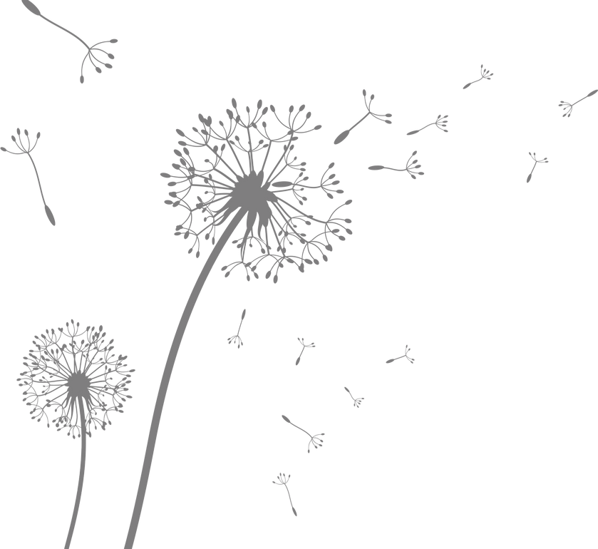 dandelions3.png