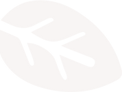 Leaf.png