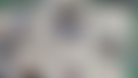 日本経済新聞社の専門紙 「日経MJ」にチョークアートの特集記事を7月22日発行版に掲載いただきました！