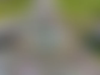 茨城空港/ アウトドアチョークパーク/ アウトドアチョークアート/ 茨城県小美玉市/ #茨城県 #ファミリーイベント #アートイベント