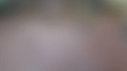 イースト２１ / アウトドアチョークアート・青空チョークアート教室 / 東京都江東区