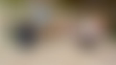 ルララこうほく/ ガラスチョークアート体験/神奈川県横浜市/ #神奈川県 #ファミリーイベント #アートイベント