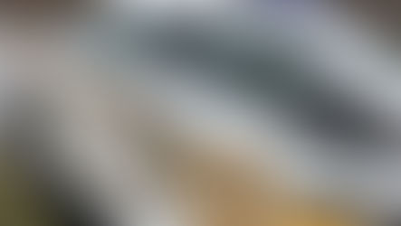 Teen bitten by dog in Horsepasture, flown to hospital