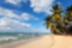 Beautiful tropical beach in the Dominican Republic, featuring clear skies and palm trees, ideal for beachfront investment.