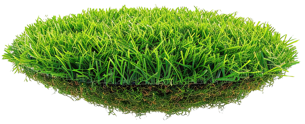 round-floating-patch-short-artificial-turf-isolated-white-background-highangle-shot-no-sha