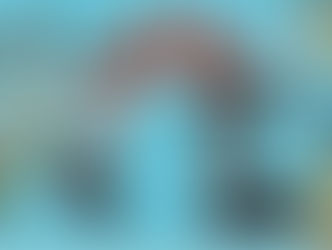 Bestaat er zoiets als een kusgeheugen?