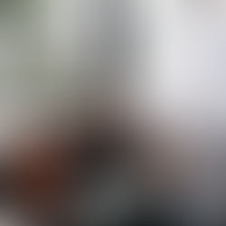 Pregnancy Stages: Week 39