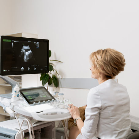 Pregnancy Stages: Week 08