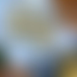 بكنك في البيت