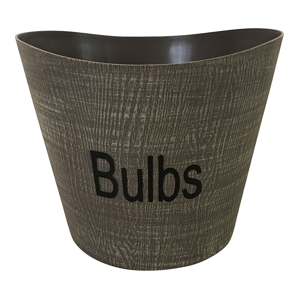 8" Bulbs 3-Qt