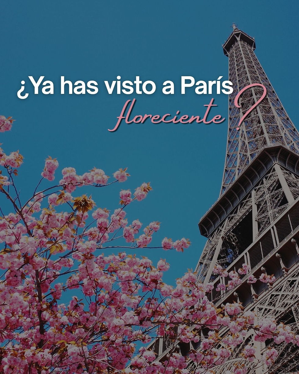 Festival de las Flores: París floreciente