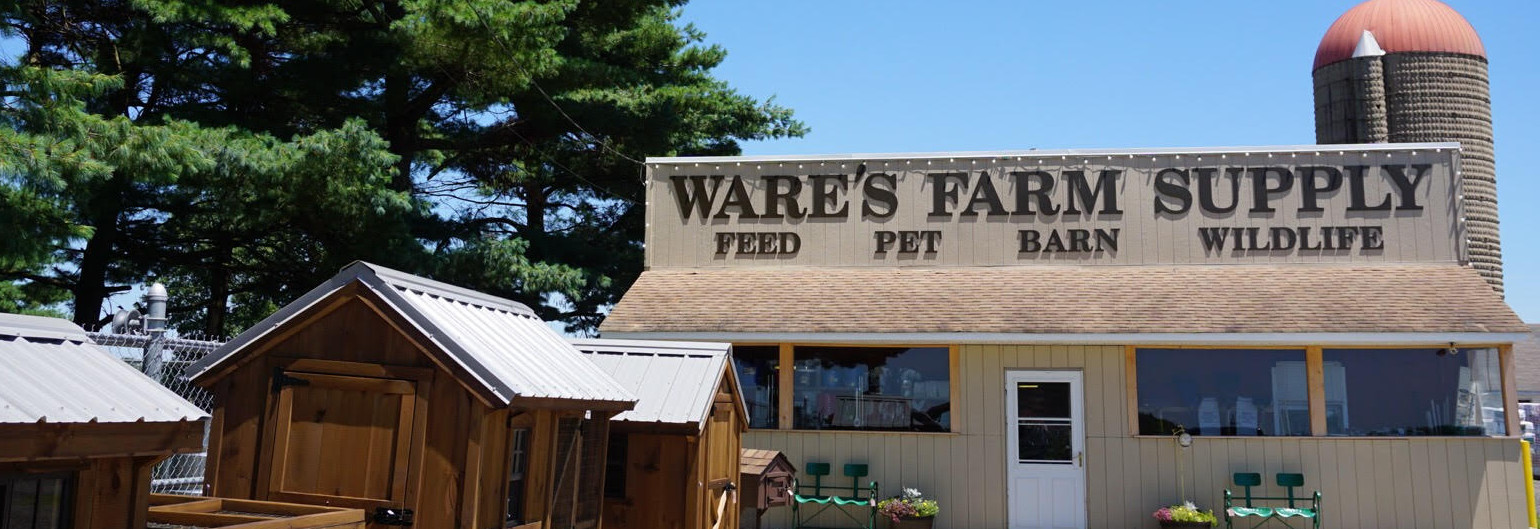 store front.jpg