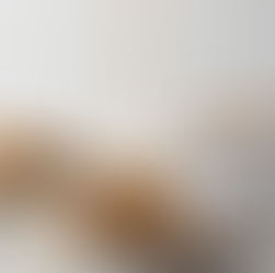 sticky ginger & chocolate pudding