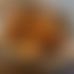 butternut squash & blue cheese gratin