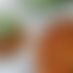 mushroom, lentil & harissa stew