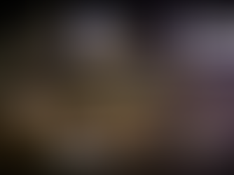 “Don’t Starve” тоглоомын ширээний хувилбар 5 минутын дотор Kickstarter дээр 4 сая ам.долларыг давлаа