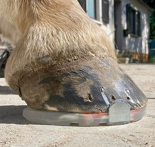 Duplo Beschlag.
Gummybeschlag.
Gummy Beschlag.
Verbesserung der Stossdämpfung.
Arthrose bei Pferde Pony. Untersturtzung der Hufmechanik.
Gummy Beschlag. Kunststoff Beschlag.
Hufschmied.
Hufpfleger.
Hufschutz.
Scuol
Sent
Ramosch
Samedan
St. Moritz
Pontrasina
Zernez
Mustair
Müstair
Samnaun
Bever
Davos
Klosters
Küblis
Landquart
Chur
Maienfeld
Vinschgau
Imst
Landeck
Südtirol