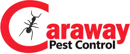 Caraway Logo.avif