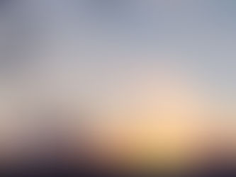 Auringonnousuja ja lapinpöllön vierailu