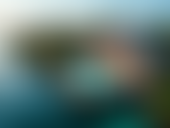 Luxury Real Estate Trends in Kentucky and Florida