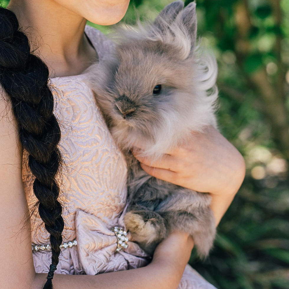 bunny16.jpg