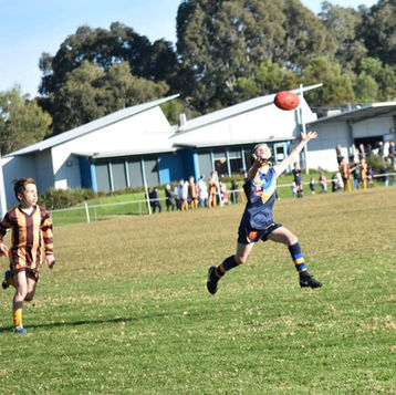 WhatsApp Image 2021-05-23 at 8.10.16 PM (1).jpeg