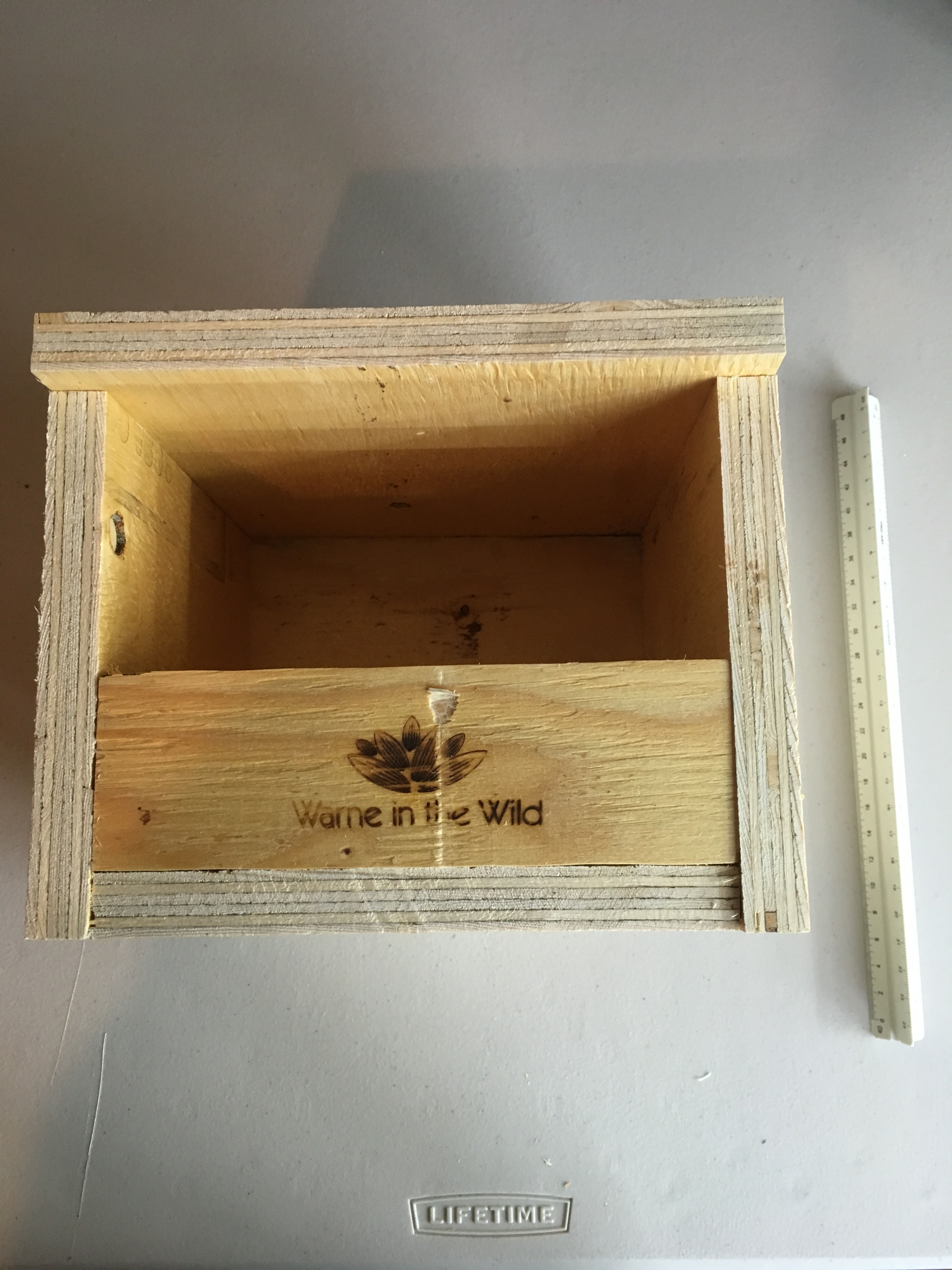 Bird Box - American Dipper