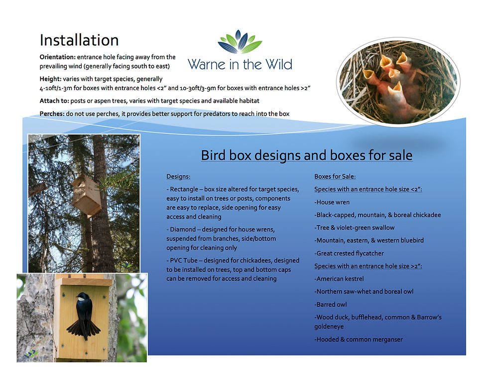 Bird Boxes